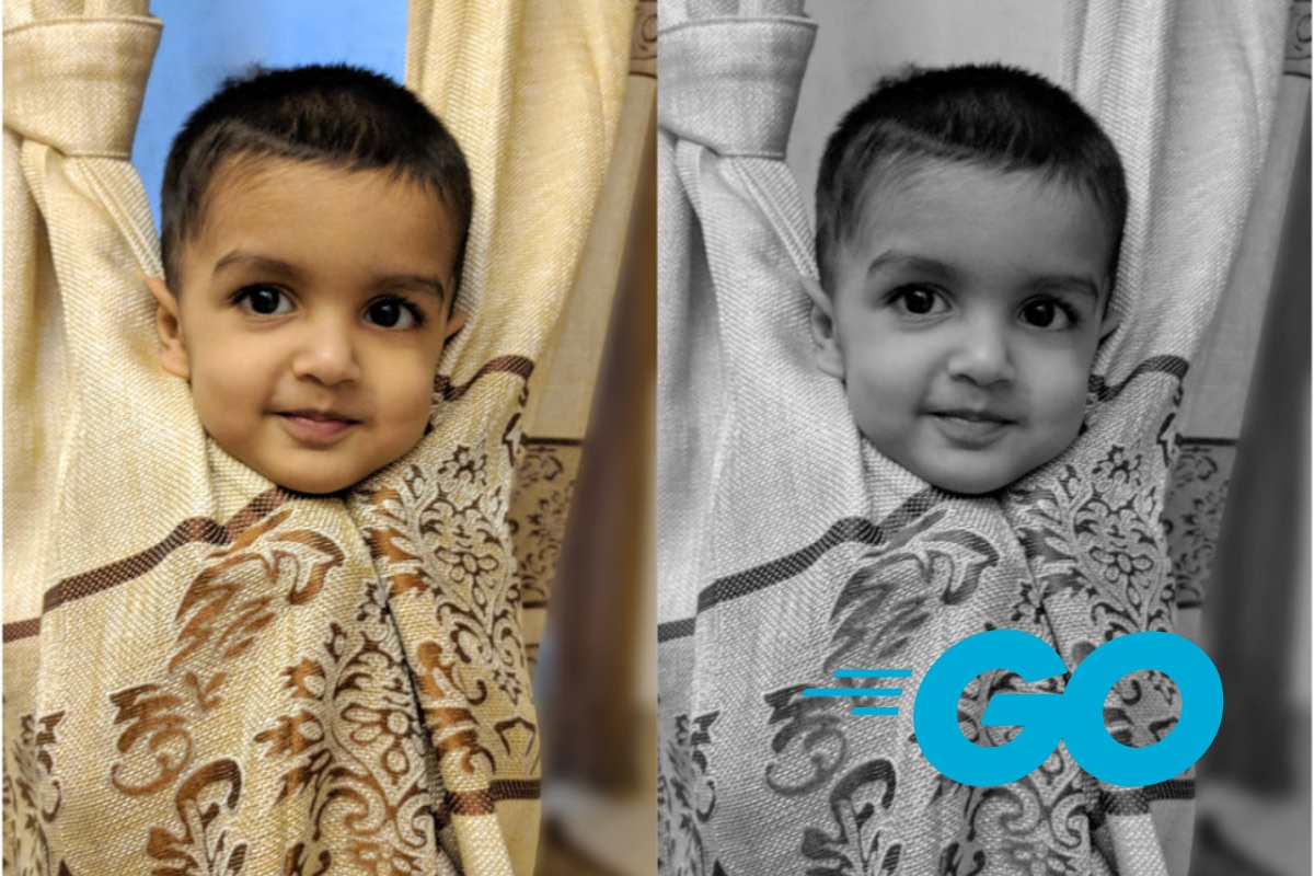Image Manipulation in Golang - Convert Image to Grayscale